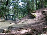 Área de Acampar y Recreación de Guavate - CAYEY